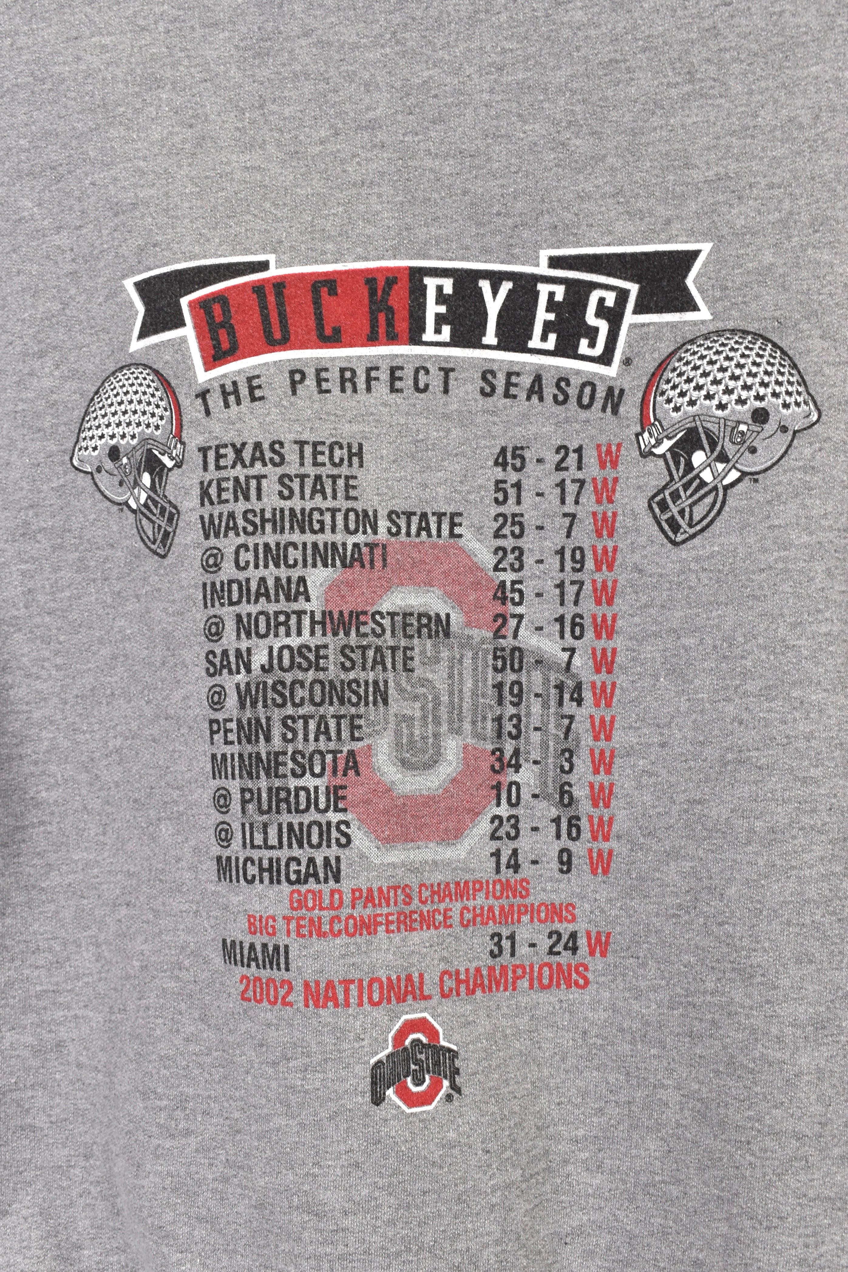 Vintage Ohio State University sweatshirt Medium, grey graphic crewneck