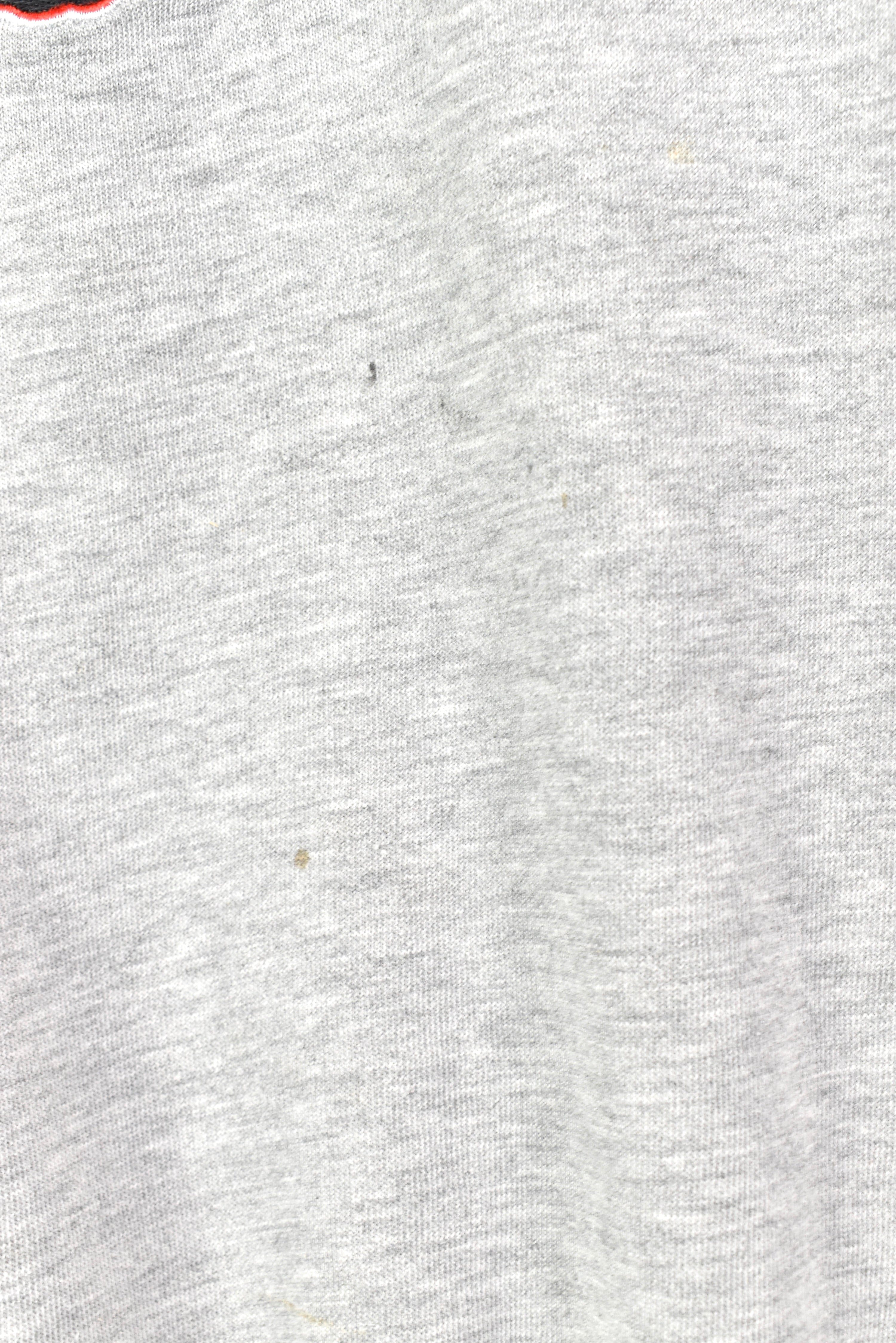 VINTAGE NHL BUFFALO SABRES EMBROIDERED GREY SWEATSHIRT | XL PRO SPORT