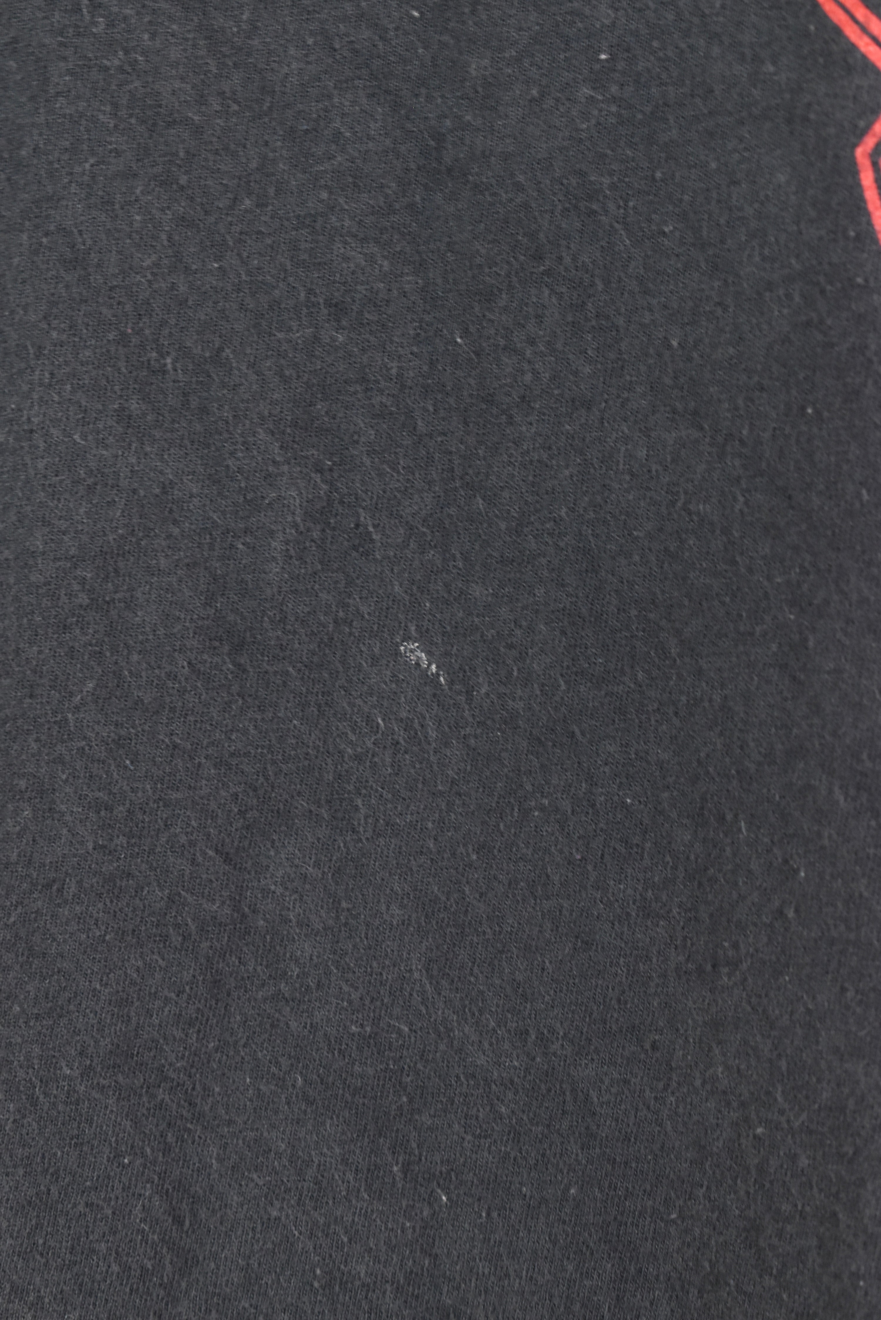 Vintage NBA Chicago Bulls black t-shirt | XL PRO SPORT