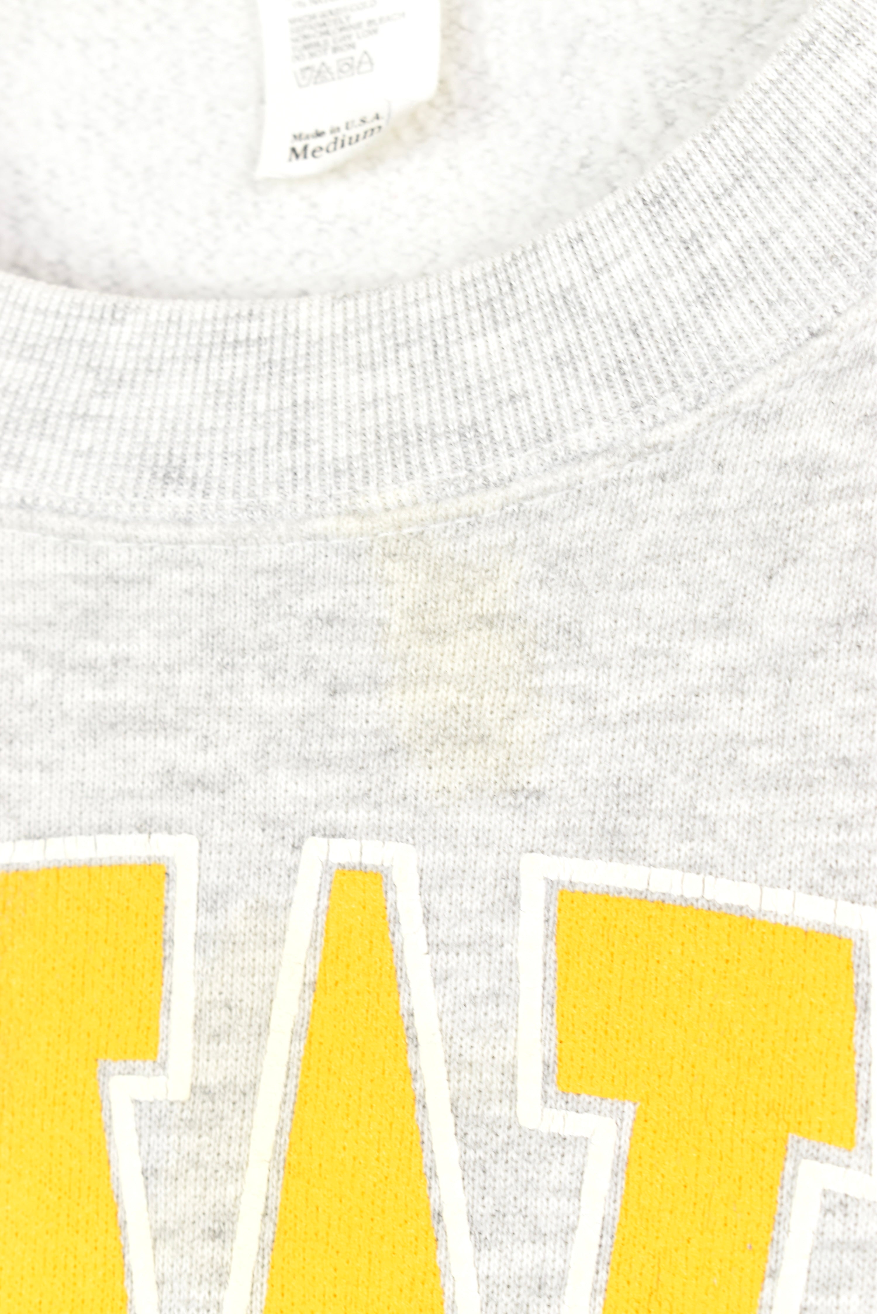 VINTAGE IOWA UNIVERSITY GREY SWEATSHIRT | MEDIUM COLLEGE