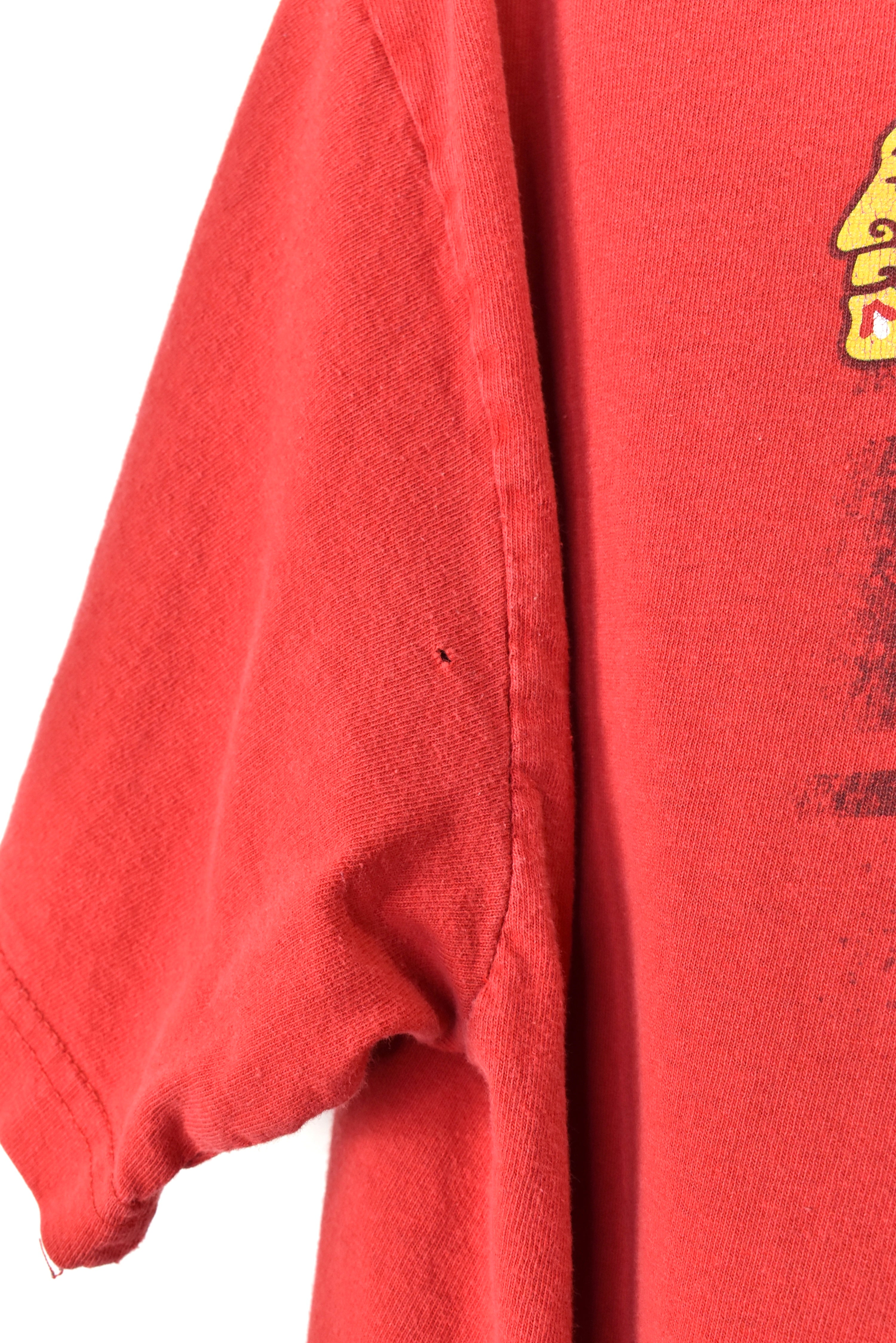 VINTAGE NHL CHICAGO BLACKHAWKS RED T-SHIRT | LARGE PRO SPORT