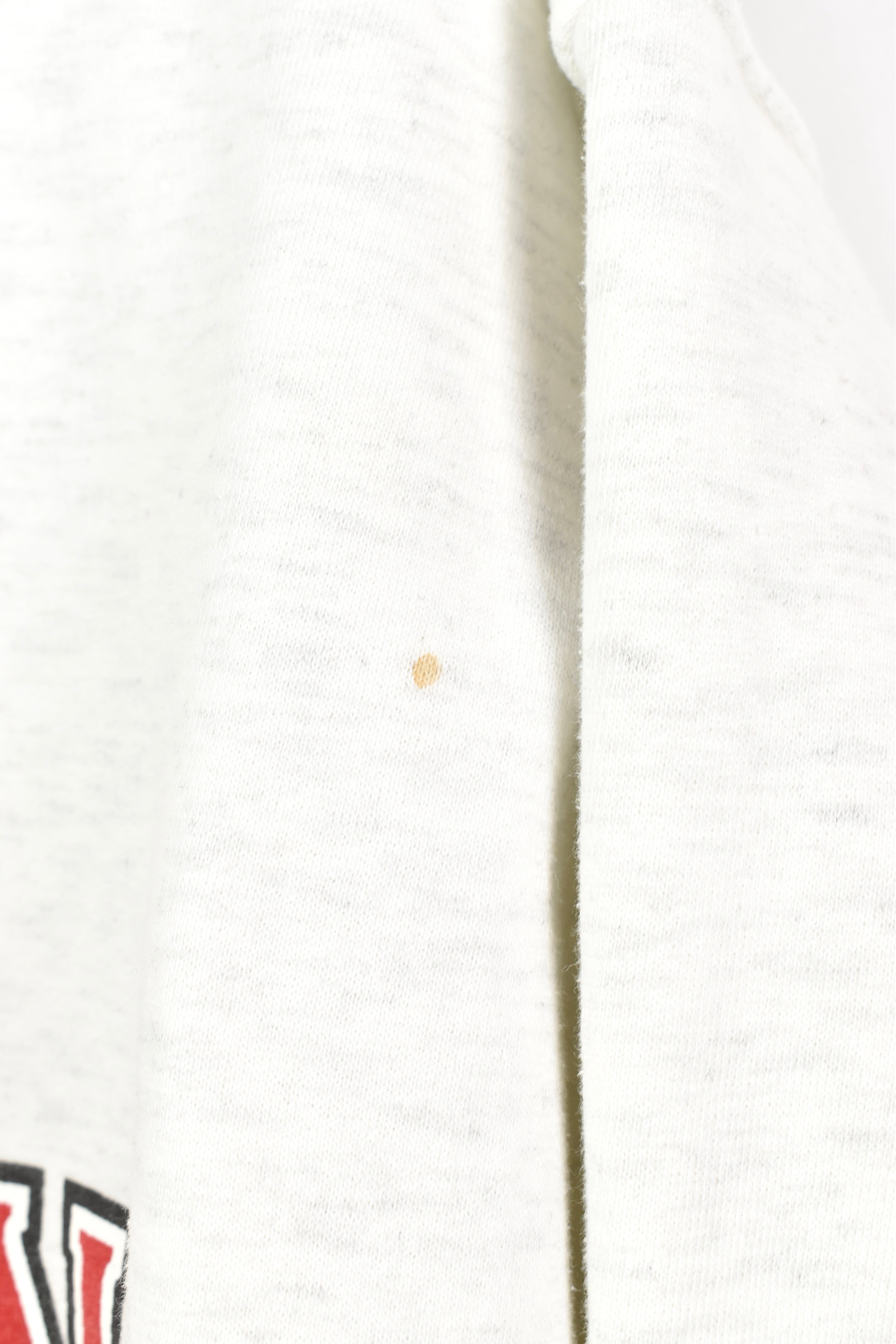 VINTAGE WISCONSIN UNIVERSITY GREY SWEATSHIRT | XL COLLEGE