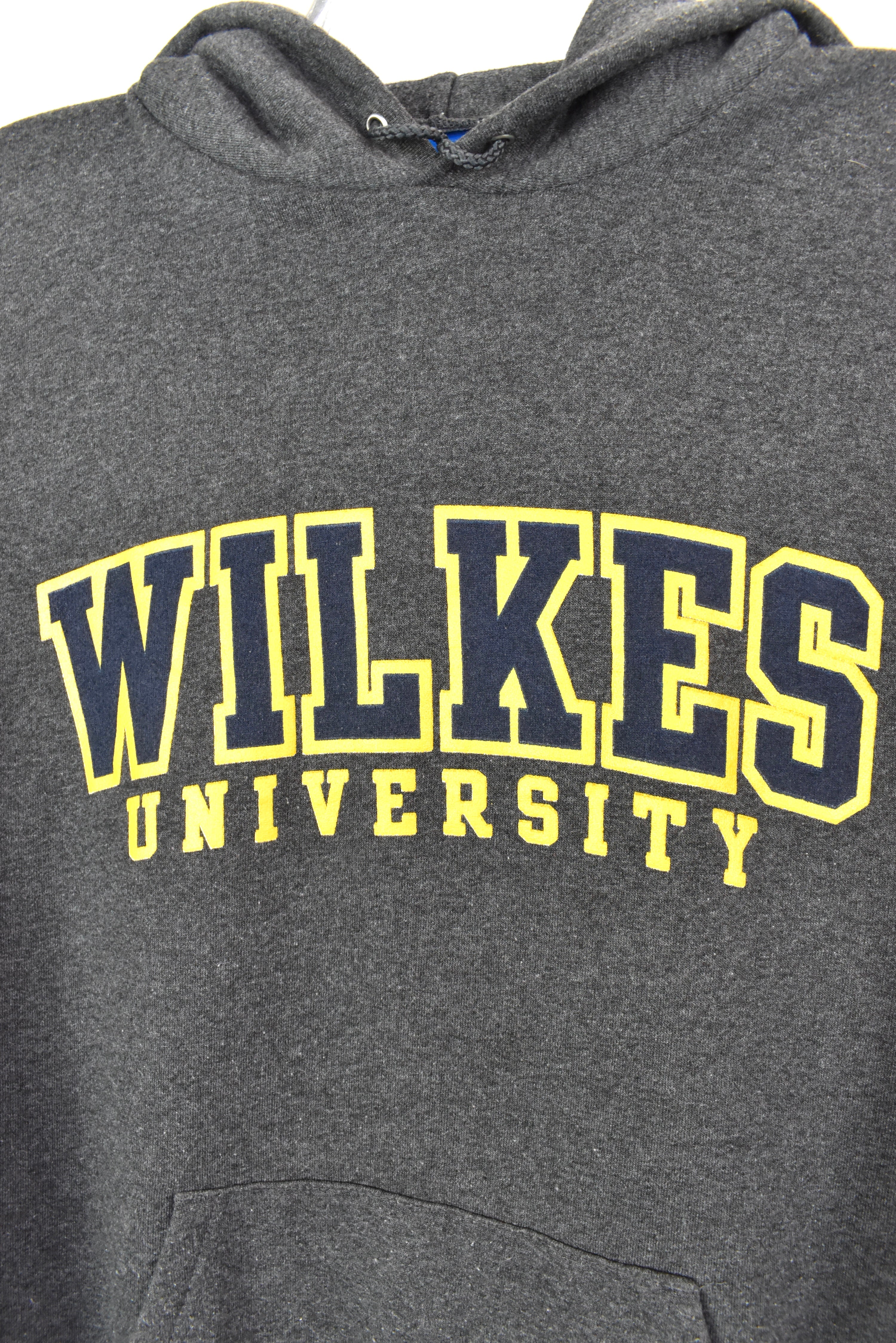 VINTAGE WILKES UNIVERSITY GREY HOODIE | MEDIUM COLLEGE
