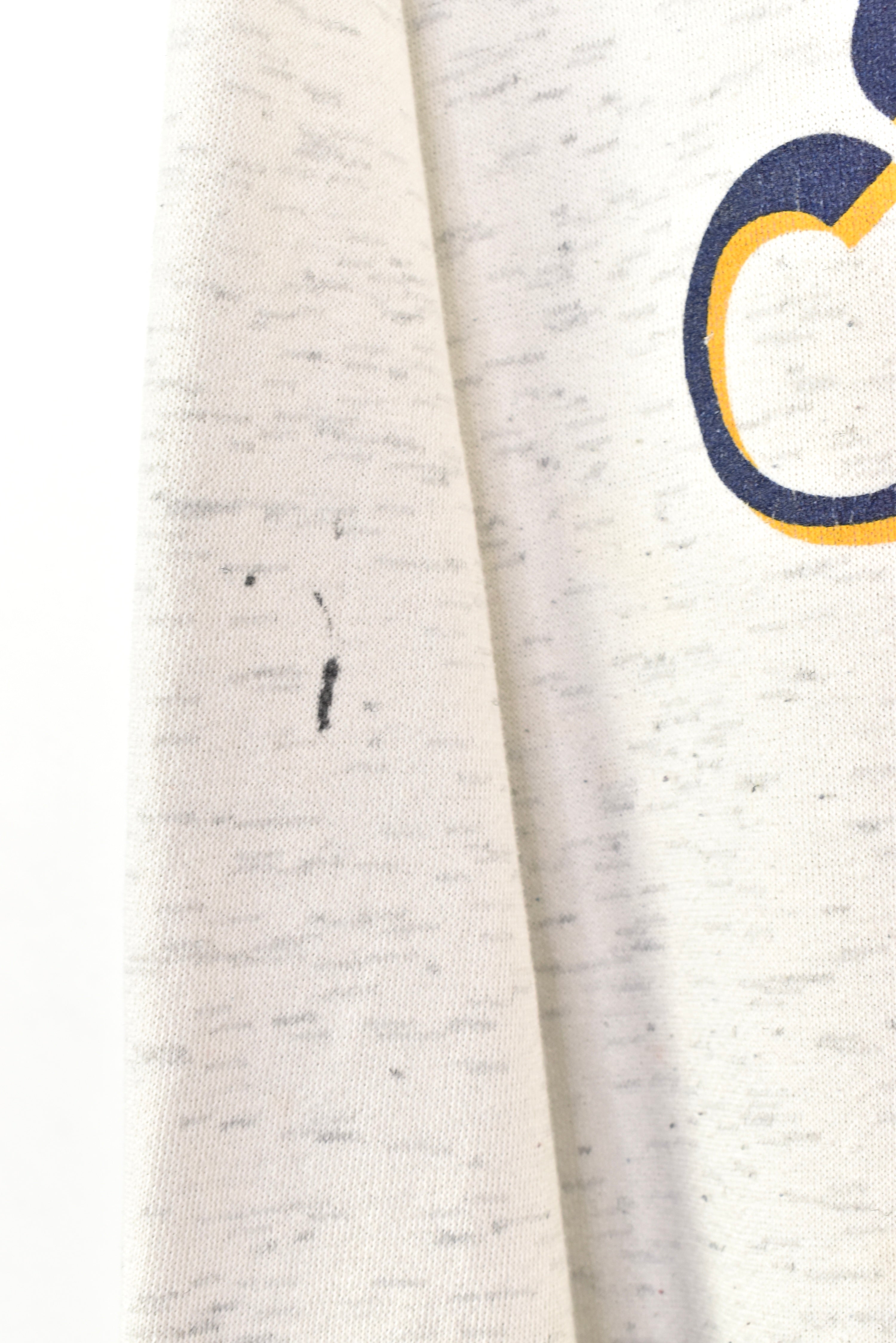 VINTAGE NOTRE DAME UNIVERSITY GREY SWEATSHIRT | XL COLLEGE