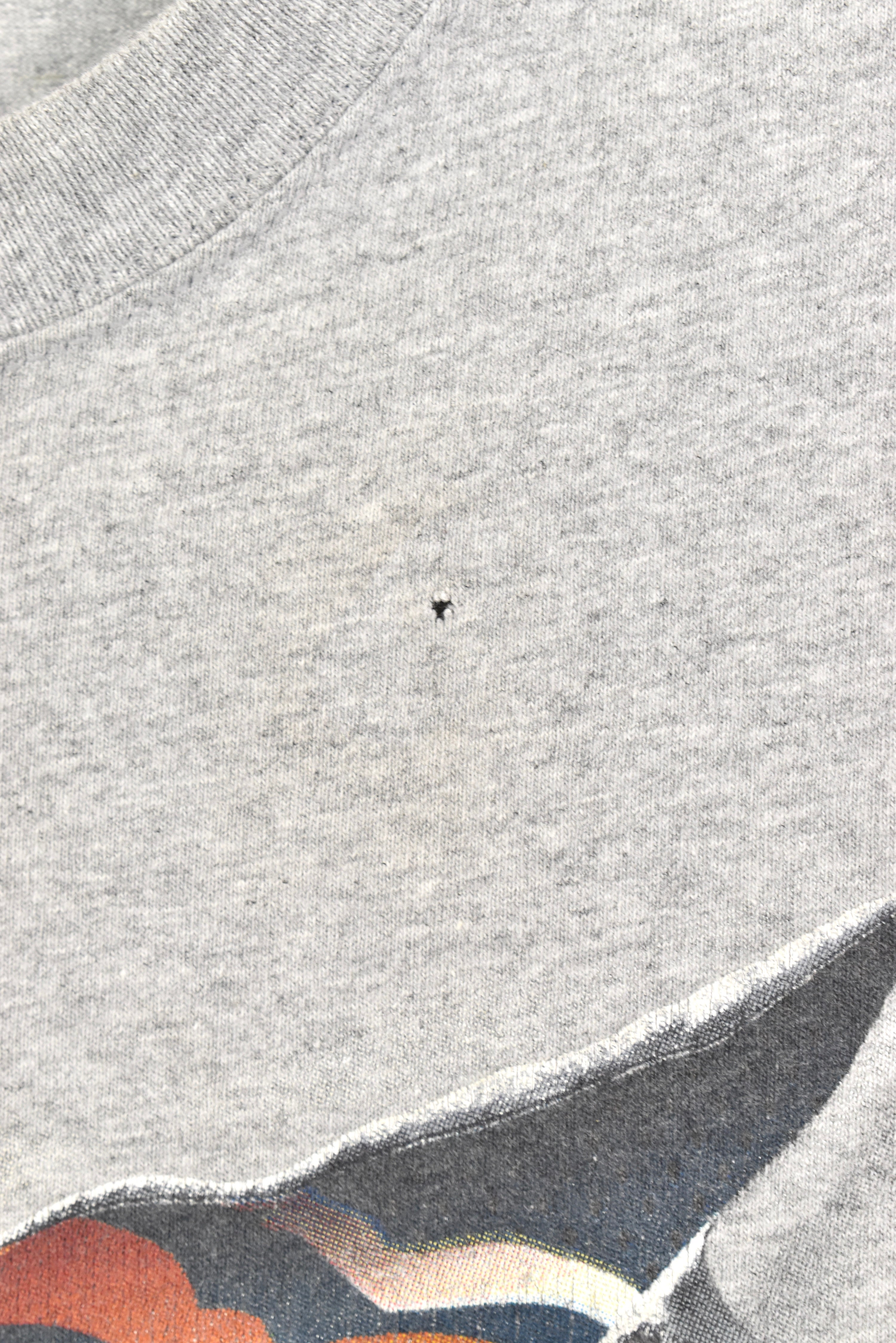 Vintage NFL Chicago Bears grey t-shirt | XXL PRO SPORT