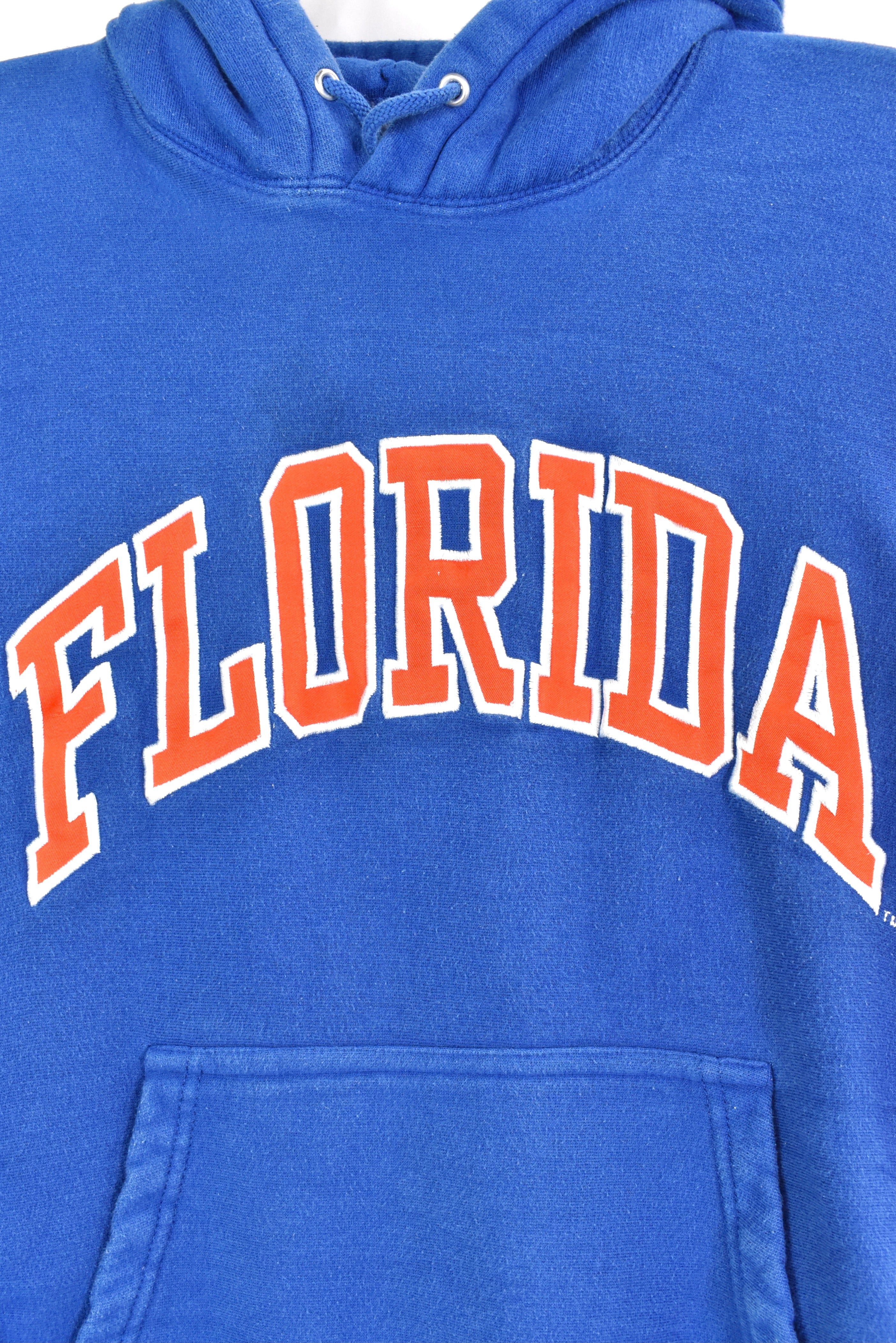 Vintage Florida University embroidered blue hoodie | Small COLLEGE