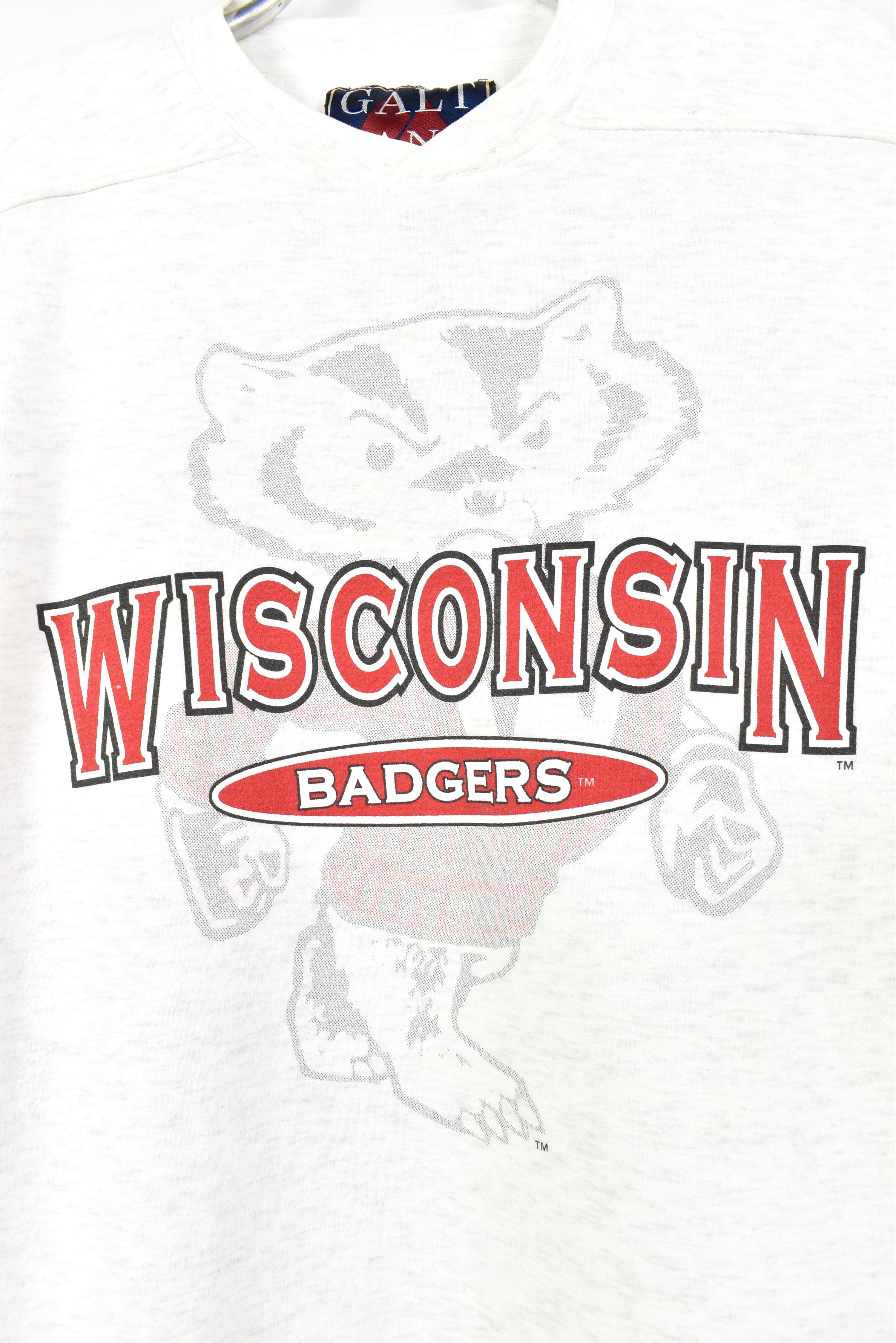 VINTAGE WISCONSIN UNIVERSITY GREY SWEATSHIRT | XL COLLEGE
