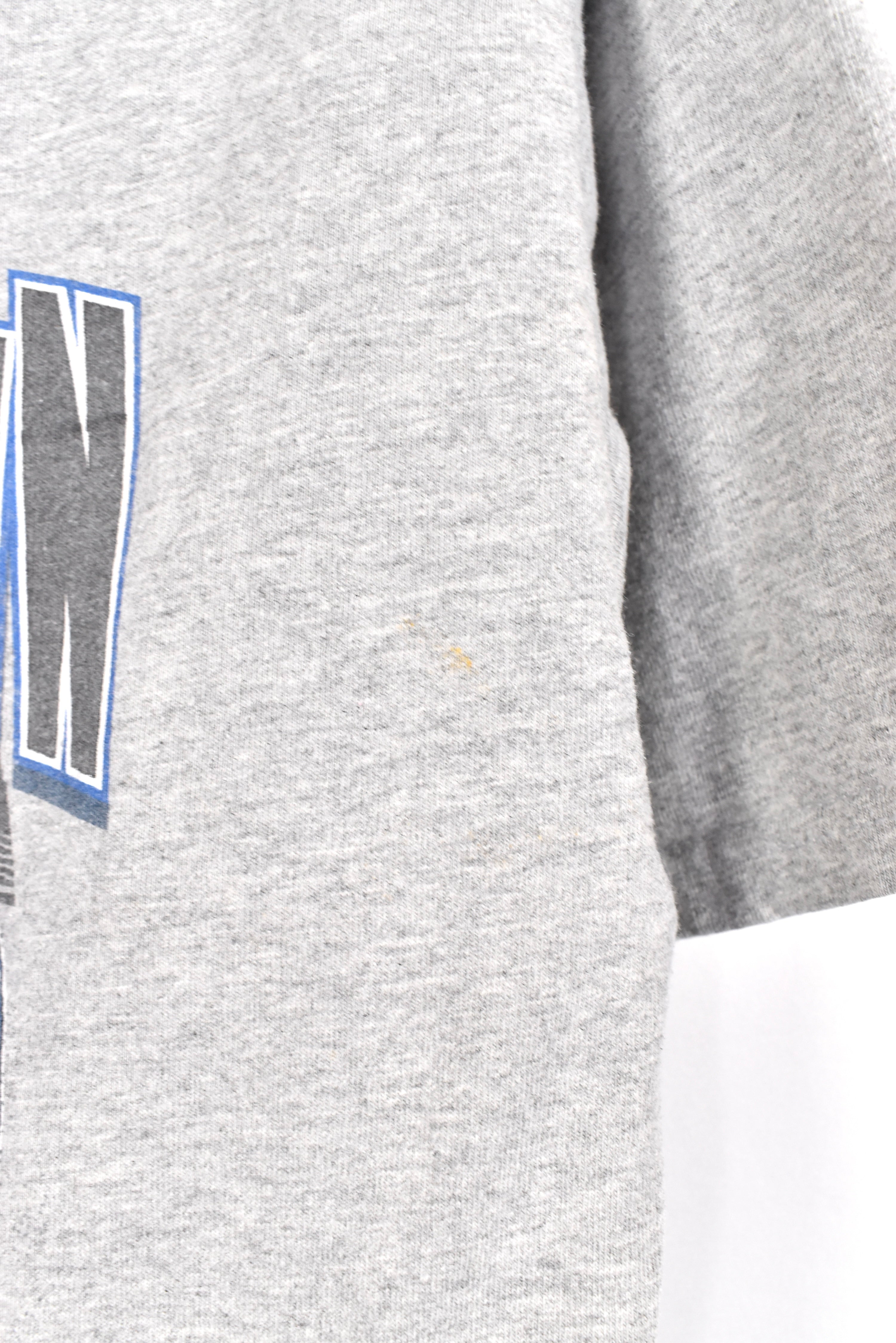 Modern Bears / Lions shirt, 2011 NFL grey graphic tee - AU Large PRO SPORT