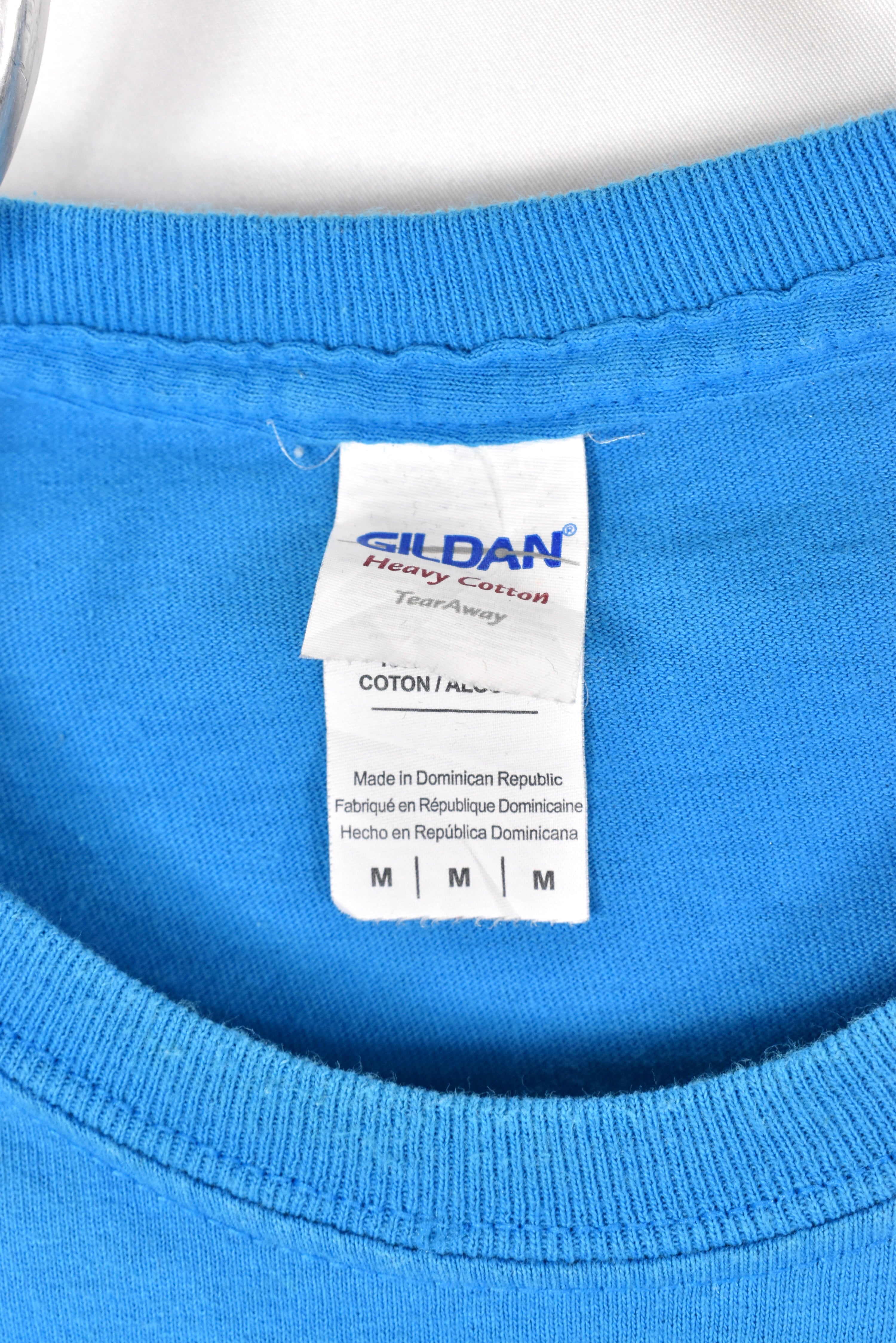 Vintage Carolina Panthers shirt, NFL blue graphic tee - AU Medium PRO SPORT