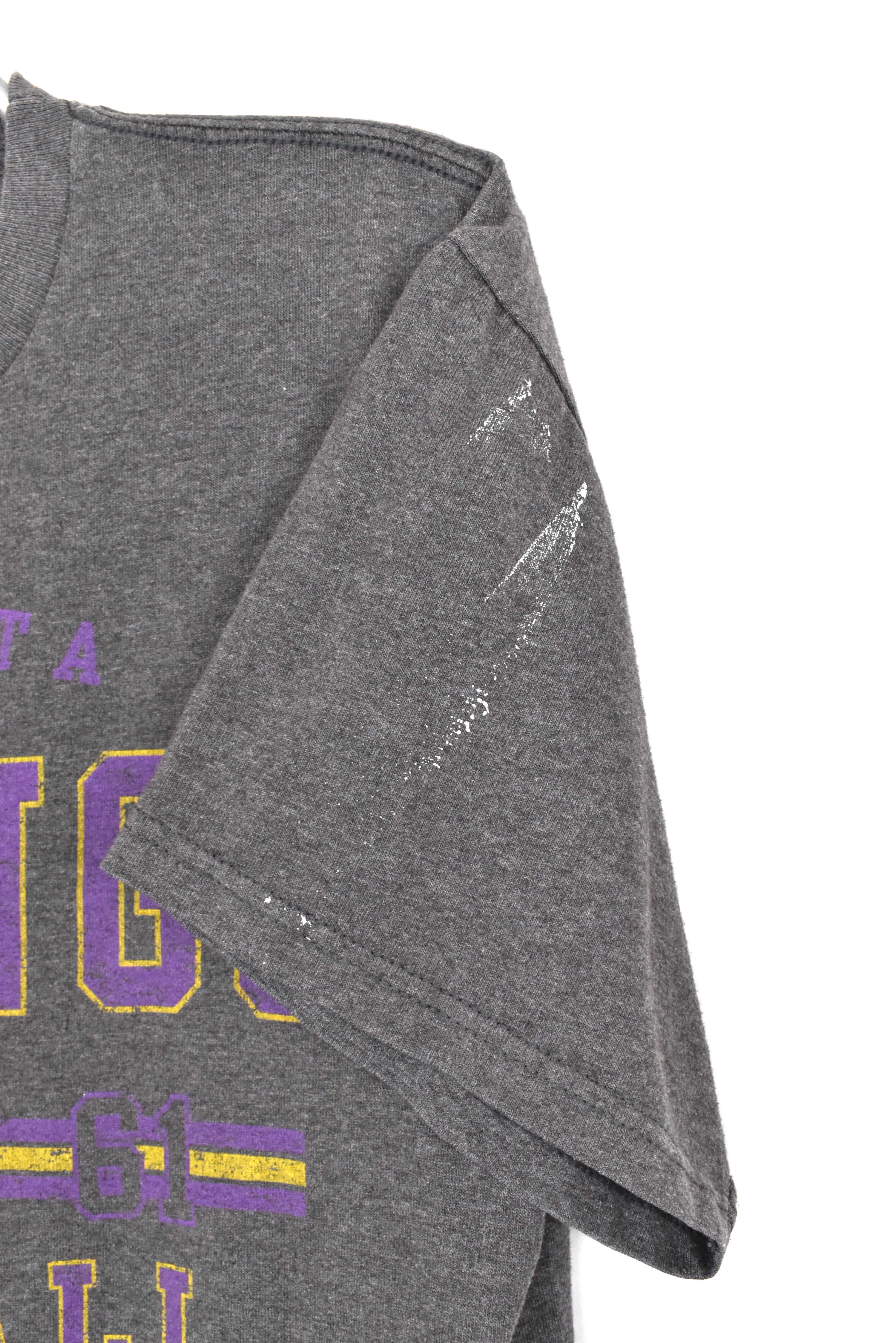 Vintage Minnesota Vikings shirt, NFL grey graphic tee - AU Medium PRO SPORT