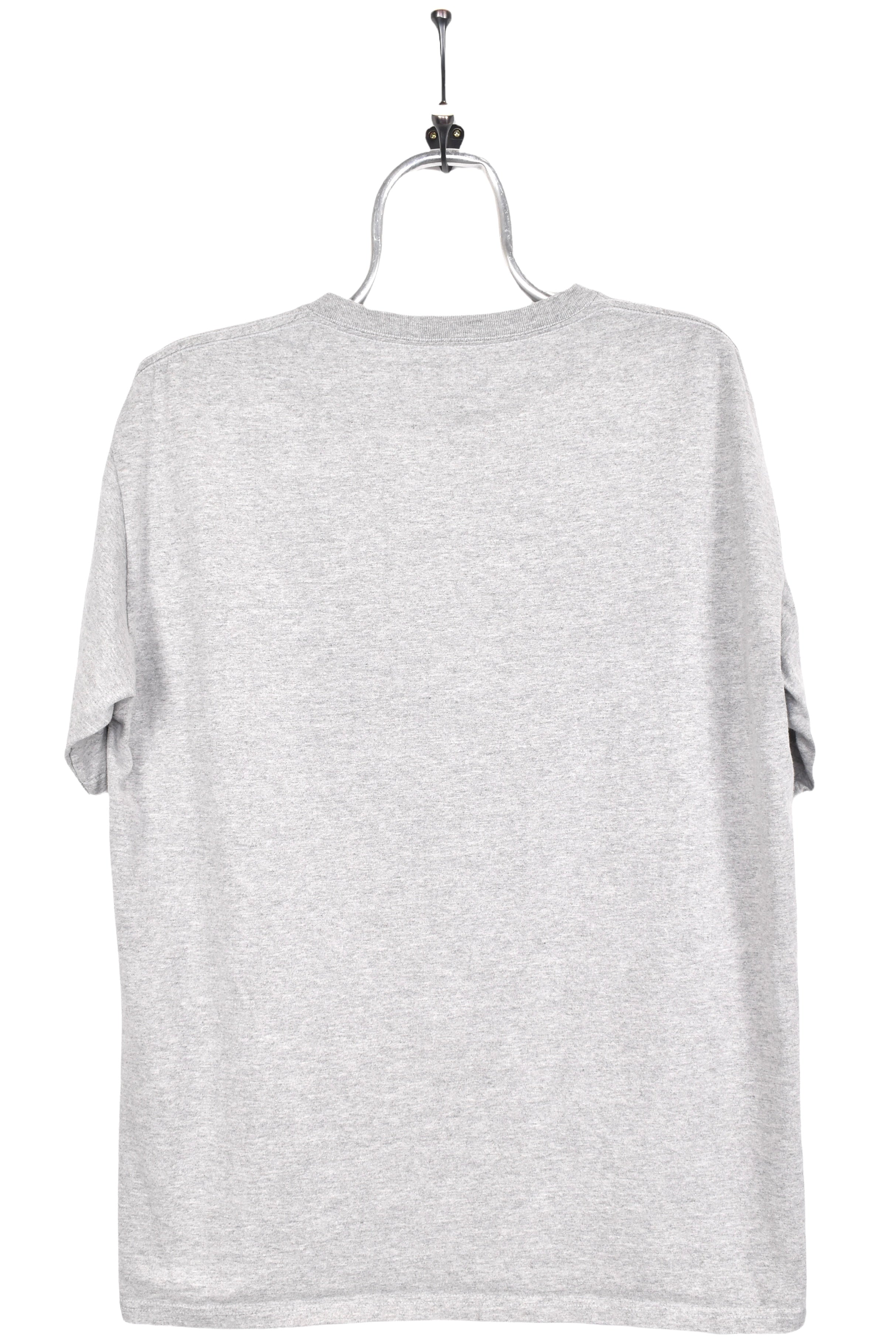 Modern Bears / Lions shirt, 2011 NFL grey graphic tee - AU Large PRO SPORT