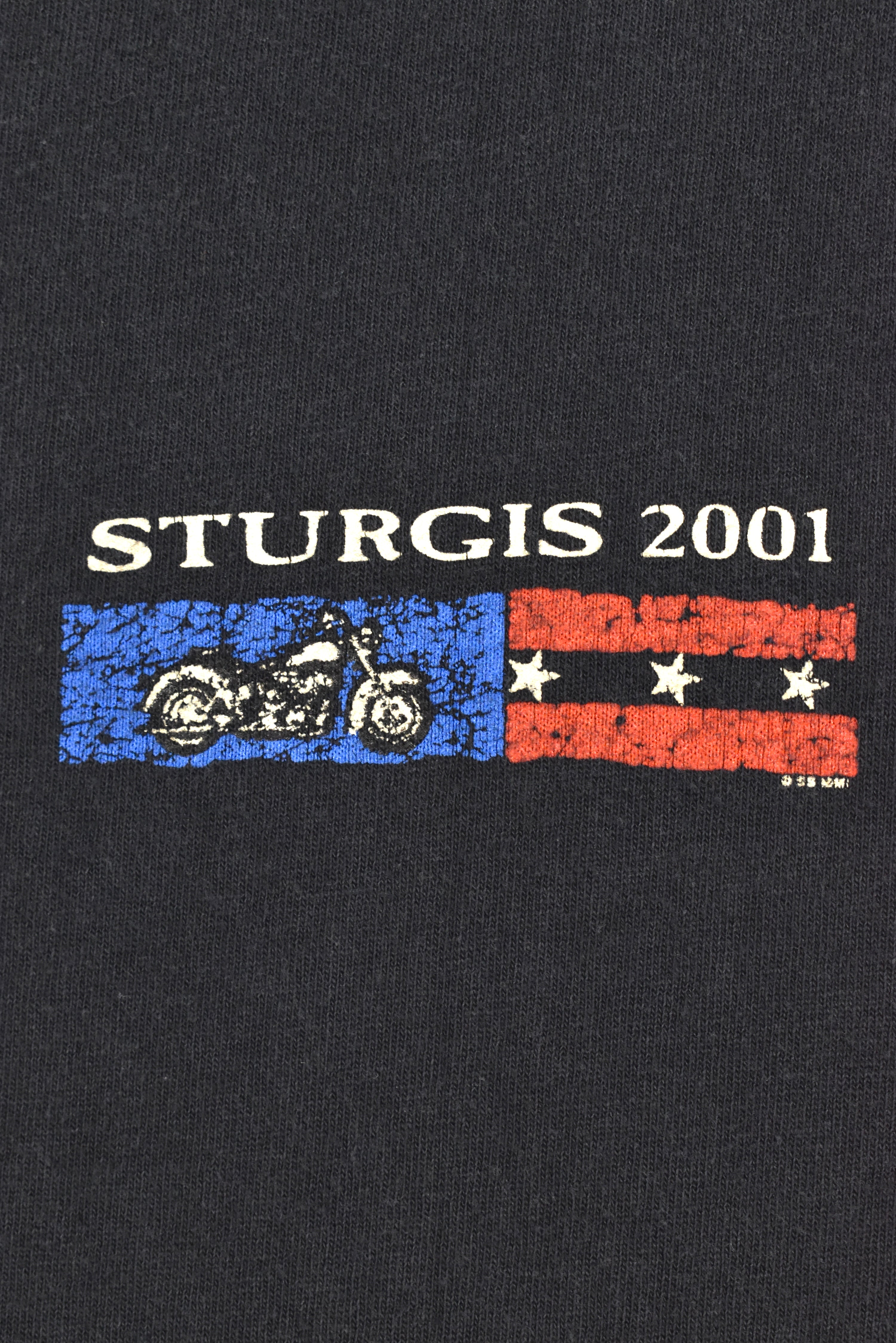Vintage Sturgis shirt, 2001 motorcycle biker graphic tee - large, black HARLEY DAVIDSON