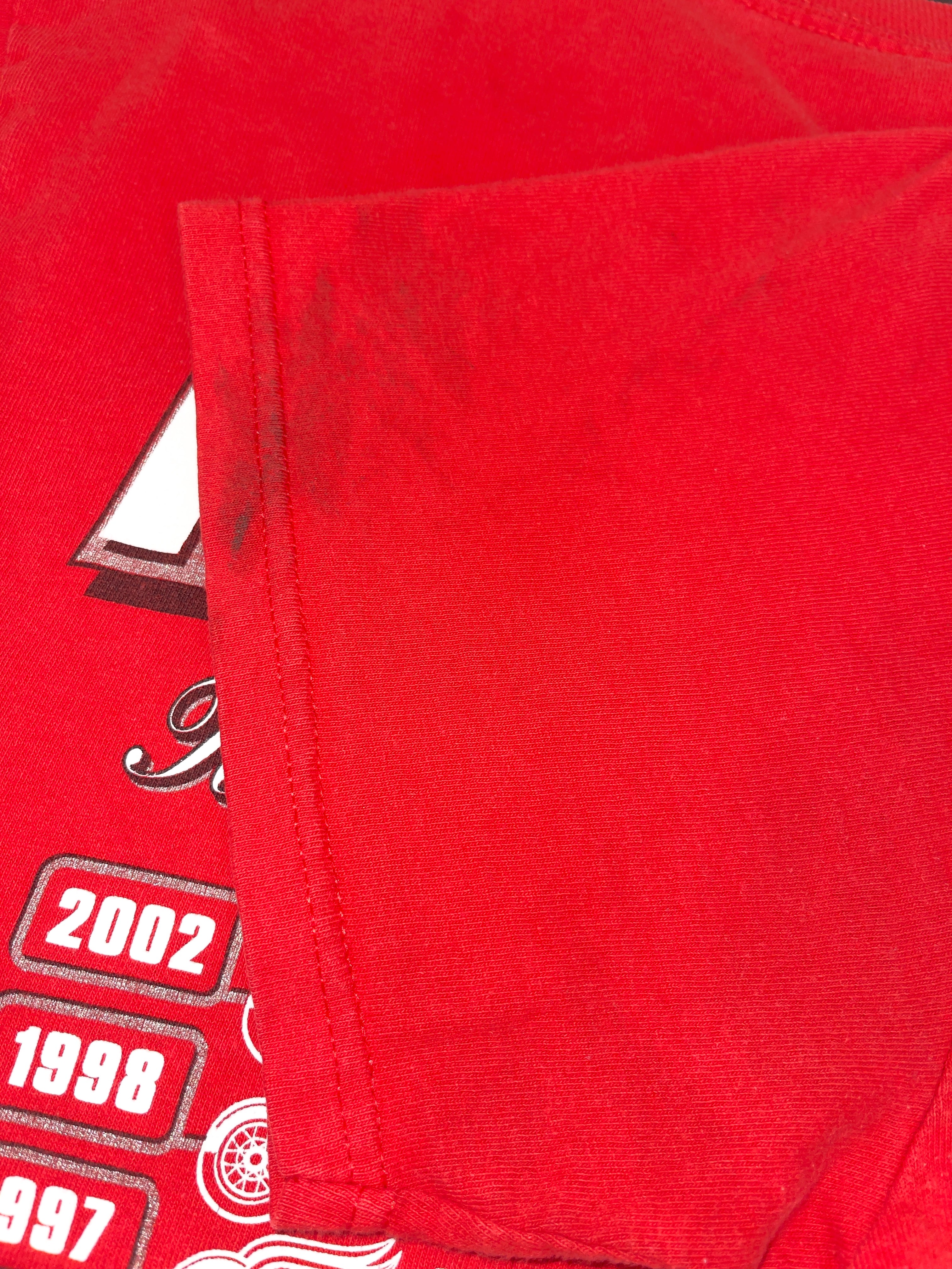 Vintage 2002 NHL Detroit Redwings Stanley Cup t-shirt | Medium PRO SPORT